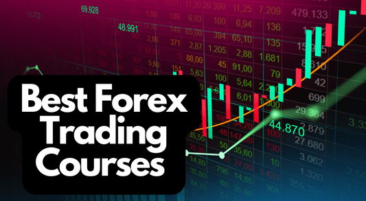 FOREX & TRADING